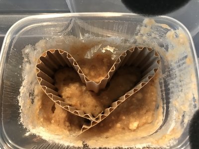 IMG_4414.JPG (4.02 MiB) Visad 5896 gånger Dendrobatister gör "det" i kärlek ...