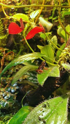 2016-04-15 19.18.29-1200x2134.jpg