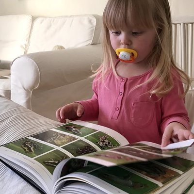 IMG_4554.JPG (1.97 MiB) Visad 5853 gånger Ellen ❤ pumilio = sant