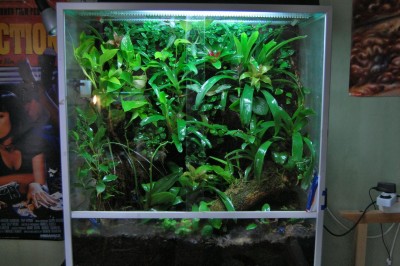 terrarium.jpg