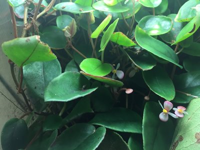 2017-04-27 16.27.23.jpg