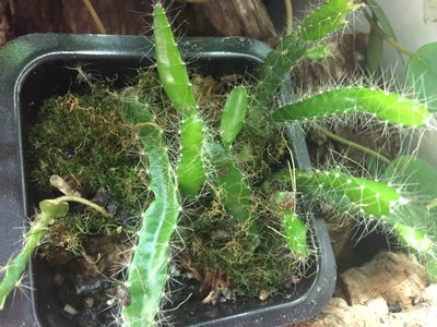 2017-04-27 16.27.14.jpg