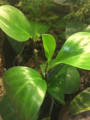 2017-04-27 16.26.48.jpg