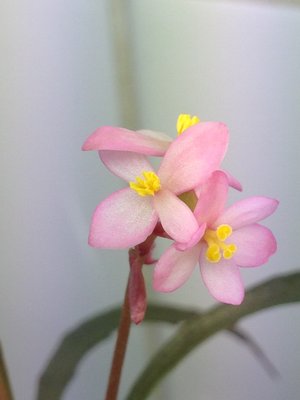 IMG_1026.JPG