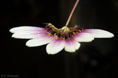 _IGP9451.jpg