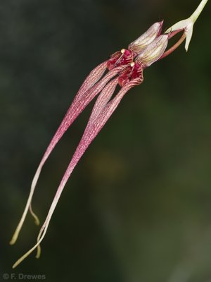 _IGP3814.jpg