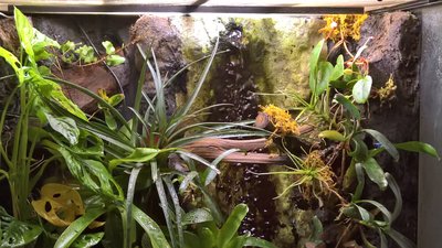 WP_20170224_18_37_37_Rich.jpg