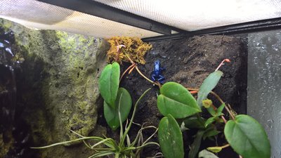 WP_20170225_12_35_19_Rich.jpg