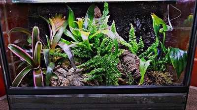 2017-08-26_14-40-39_HDR.jpg