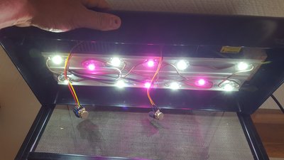 20170924_123159.jpg