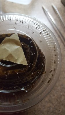 20170925_224515.jpg