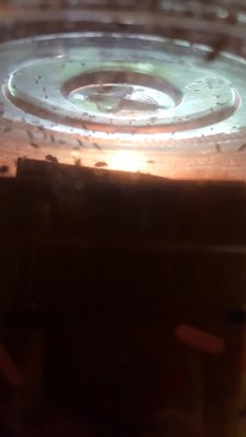 20170925_224529.jpg