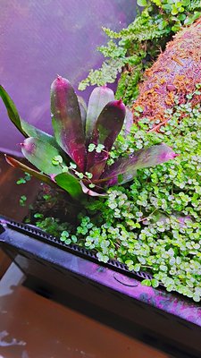 2017-12-16_17-52-47_HDR.jpg