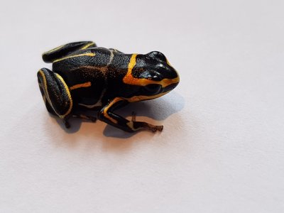 20180210_094250.jpg