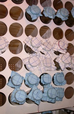 L0448 017b.jpg