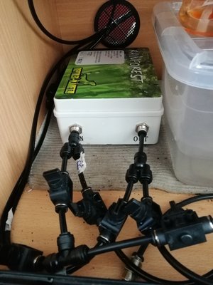 IMG_20180701_104838.jpg