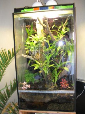 Ett gammalt projekt..