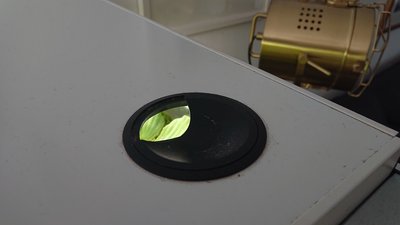 DSC_0059.JPG