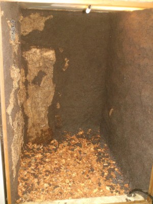 Div 002_1.JPG