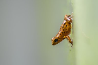 _IMG1584.jpg