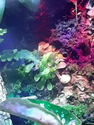 20191127_090350_resize_82.jpg
