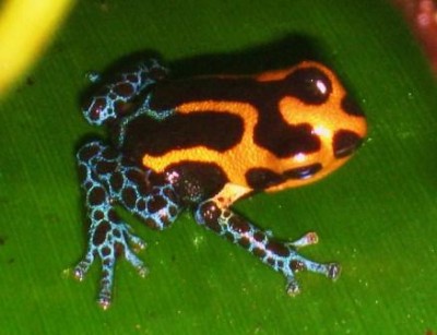 IMG_3419 - Kopia.JPG