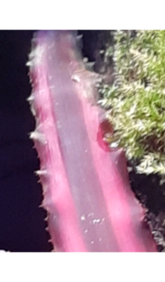 1603648660077.png