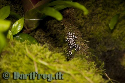_MG_5605.jpg