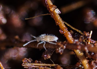 _IMG9060.jpg