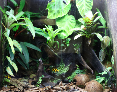 Skärmavbild 2021-08-02 kl. 14.30.18.png