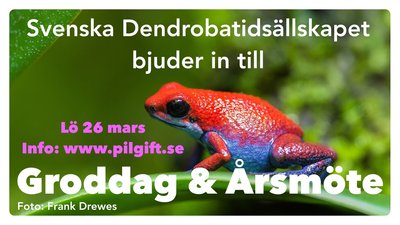 Groddag mars 2022.jpg