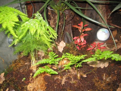 IMG_0786.JPG