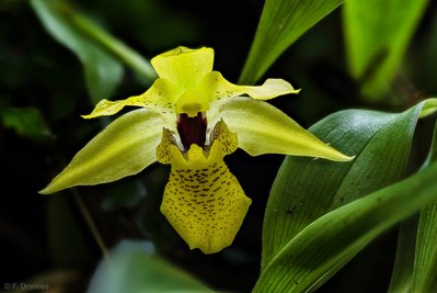 2022-03-31 21-23-58 (C,Smoothing2).jpg