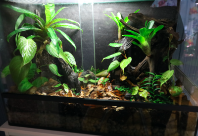 Skärmavbild 2022-04-04 kl. 19.43.35.png