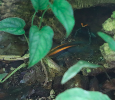 Skärmavbild 2022-04-11 kl. 10.13.31.png