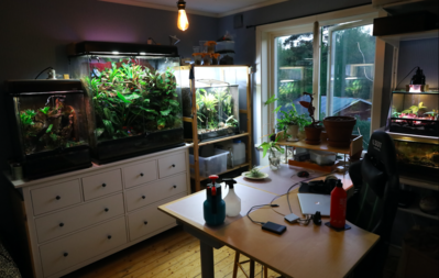 Skärmavbild 2022-06-18 kl. 11.47.33.png