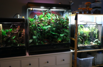 Skärmavbild 2022-06-18 kl. 11.48.38.png