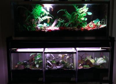 Skärmavbild 2022-06-18 kl. 11.49.40.png