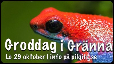 Boka in höstens Groddag redan nu!