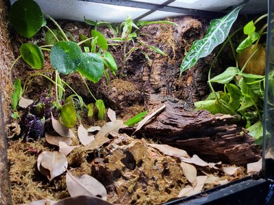 Vattendelen borta och ersatt med substrat osv