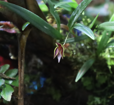 Skärmavbild 2022-09-28 kl. 19.55.43.png