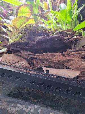 En som hittat en favoritspot redan haha