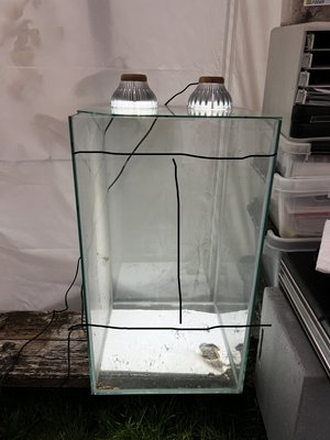 Och tre i fronten …