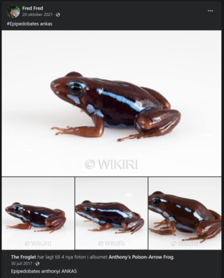 Skärmbild 2022-11-17 194452.png