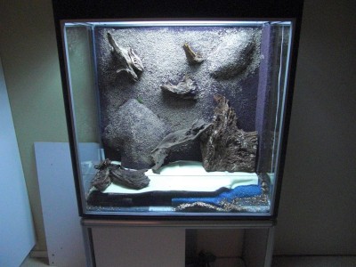 så här ser det ut innan växterna åker på