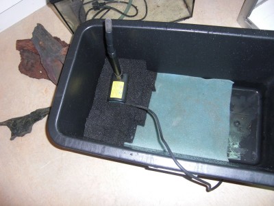 pumpen är en vanlig fontän pump, låter inte farligt mycket och den gör sin grej. köpt på jula för typ 200