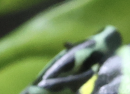 Skärmavbild 2024-01-20 kl. 15.43.24.png