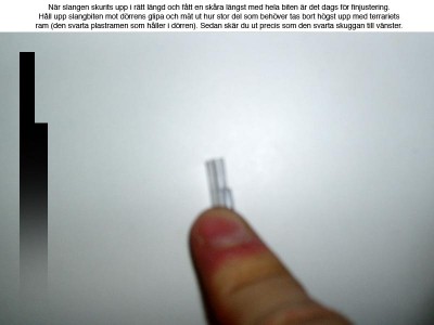listiglist2.jpg