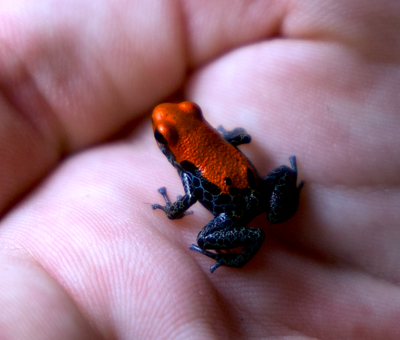 Skärmavbild 2024-04-02 kl. 18.02.48.png