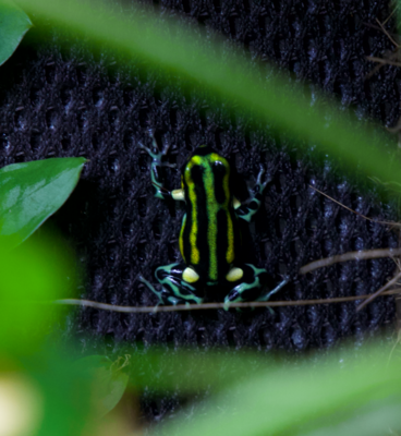 Skärmavbild 2023-10-29 kl. 18.22.07.png